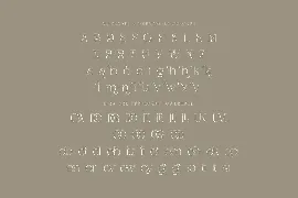 Dagstam - Artistic Serif Font