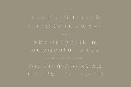 Dagstam - Artistic Serif Font