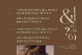 Collingar - Aesthetic Serif font