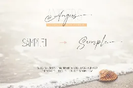 Angers Script font