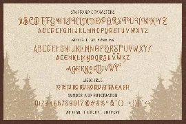 Brown Chunkers - Display Typeface font