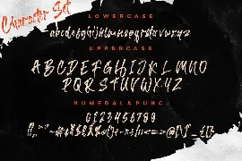 Barttony Handbrush Business Font