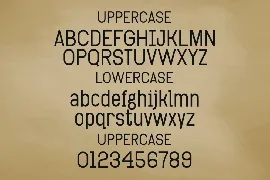 Tensile - Classic Typewriter font