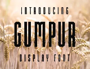 Gumpur Font