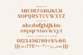 Bogimber - Retro Display Serif font