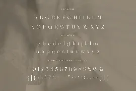 Berfilem - Editorial Display Serif font