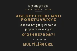 Forester Vintage Sans Serif font