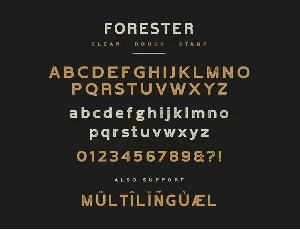 Forester Vintage Sans Serif font