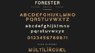 Forester Vintage Sans Serif font