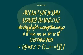 Rookys Handwritten Script Font