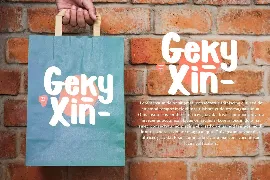 Geky Xin - Playful Display Font