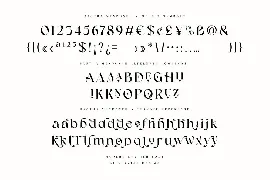 Bagtha Mendoneh Ligature Serif font