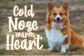 Corgi Puppy - Handwritten Font