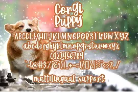 Corgi Puppy - Handwritten Font