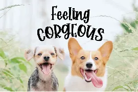 Corgi Puppy - Handwritten Font