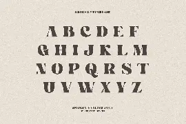 Broken - Bold Serif Font