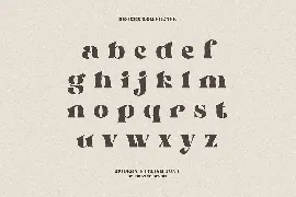 Broken - Bold Serif Font