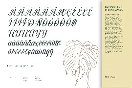 Anyva font