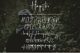 Hapster font