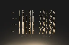 Salah Sans Serif 8 Font Family