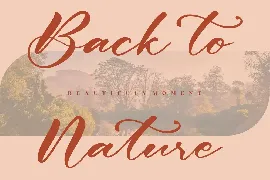 Betta Peach Script Font