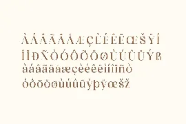 Esthetique Modern Serif Font