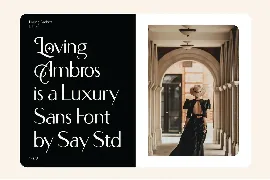 Loving Ambros font