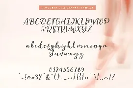 Evident Script font