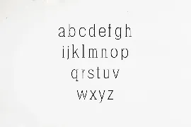 Zayley Serif Regular Font