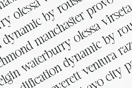 Modern Ligature Serif font