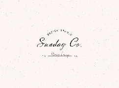 Handwritten fancy font