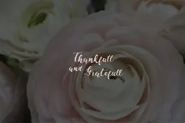 La Vi En Rose - Cute Font Duo