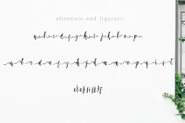 La Vi En Rose - Cute Font Duo