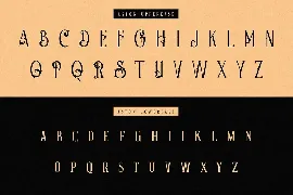 Aston - Vintage Serif Font