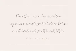 Mealtone Signature Script Font