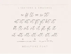 Mealtone Signature Script Font