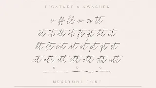 Mealtone Signature Script Font