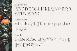 Grapevine - Modern Serif Font