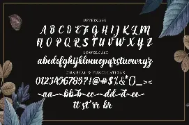 Maria Aishane Script font