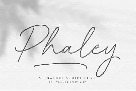 Phaley Script Font