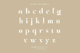 Luckenbach - Modern Serif Font