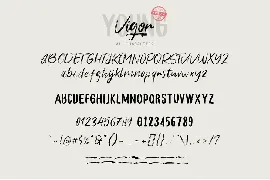 Young Vigor Font Duo