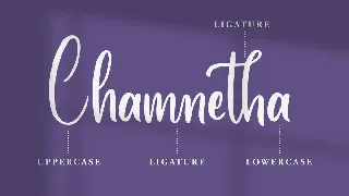 Berlossiana - Fashion Font