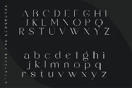 Stylish Sans Serif Font