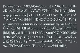 Felis Serif Font