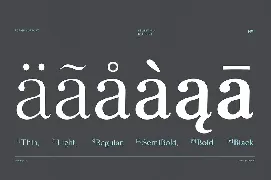 Felis Serif Font