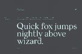 Felis Serif Font