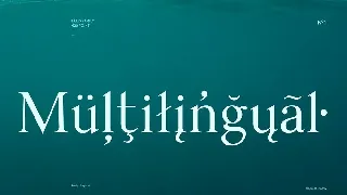 Felis Serif Font