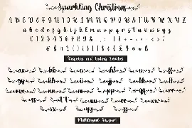 Sparkling Christmas - Hand Letter Script Font