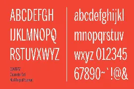 Goversy Condensed Display Font